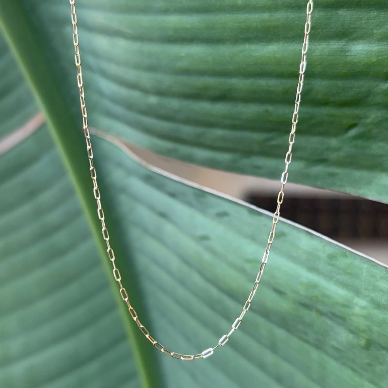 A 14kt yellow gold rounded paperclip chain shown in front of a leaf. 