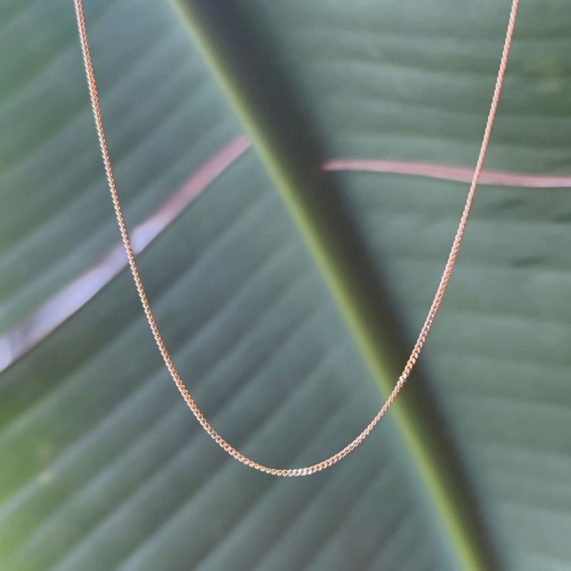 A delicate cuban chain shown in front of a green leaf.
