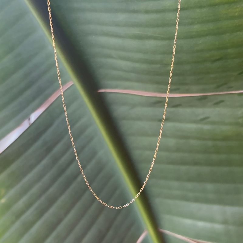 A delicate paperclip chain shown in front of a large green leaf. 