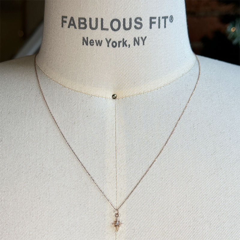 
                  
                    Load image into Gallery viewer, The North Star Charm Necklace | Ready To Ship
                  
                