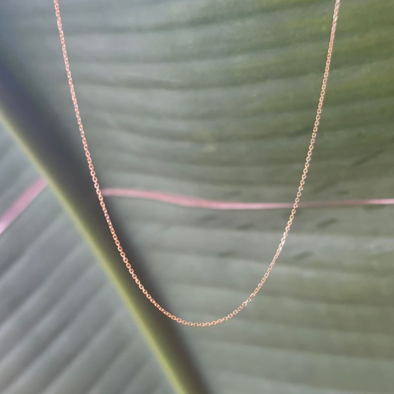 A delicate diamond cut chain shown in front of a green leaf.