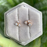 front view on grey display box of cluster-style diamond studs in 14 kt rose gold. Total carat weight of varied round diamonds are 0.27 ct. 