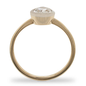 
                  
                    Load image into Gallery viewer, Side view of a bezel set, pear cut, salt and pepper diamond solitaire ring cast in 14 kt yellow gold by King + Curated.
                  
                